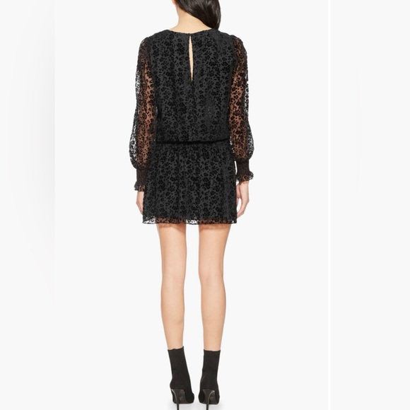 Parker — Carmindy Embroidered Semi-Sheer Dress - Picture 2 of 4